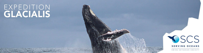 Swiss Cetacean Society